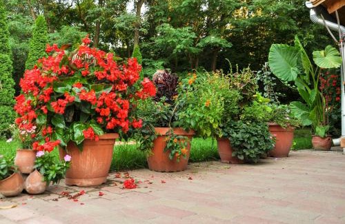 Asotthalom House | Gyömbér Tanya