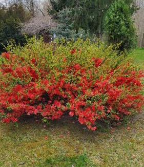 Asotthalom House | Gyömbér Tanya