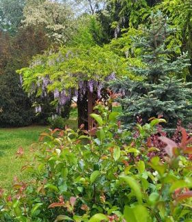 Asotthalom House | Gyömbér Tanya