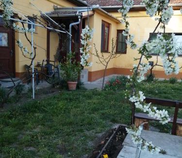 Mezokovacshaza House | Hársfák