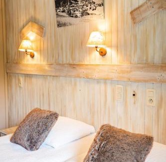 Areches Hotel | Hôtel Viallet