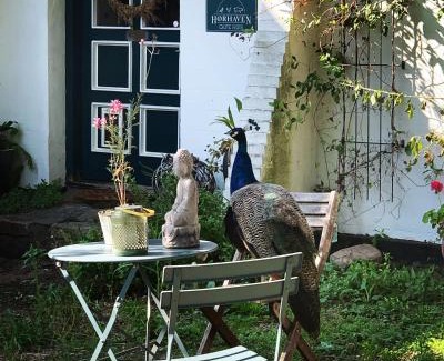 Fuglebjerg Bed & Breakfast | Hørhaven B&B