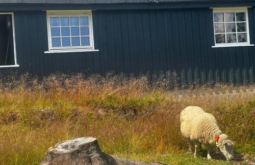 Loten Municipality House | Høstkos og ro på Budor, 4 roms hytte med peis og wifi