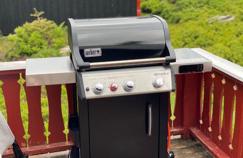 Loten Municipality House | Høstkos og ro på Budor, 4 roms hytte med peis og wifi