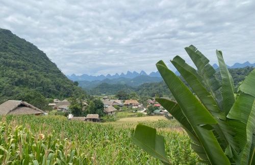 Ha Giang Bed & Breakfast | Ha Giang Uphill Coffee Farmstay