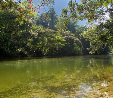 San Carlos Apartment | Habitación grupal en San Carlos con desayuno incluido y acceso al rio