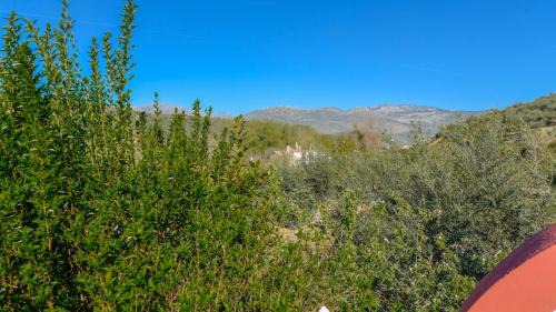 Priego de Cordoba House | Hacienda la Toscana Priego de Córdoba by Ruralidays