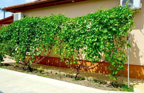 Hajdunanas Apartment | Hajdú Nova Apartman