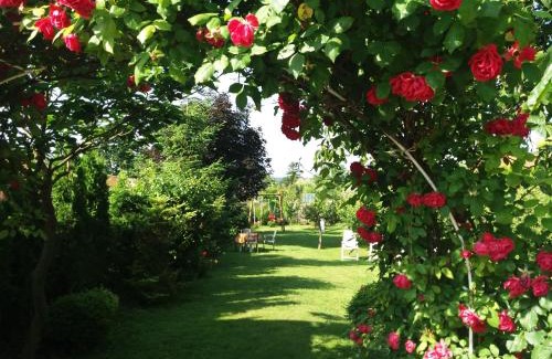 Buk House | Hajnalka vendégház