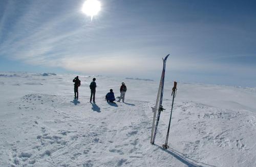 Hol Municipality Cabin | Hakkesetstølen Hytter