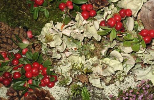 Hol Municipality Cabin | Hakkesetstølen Hytter