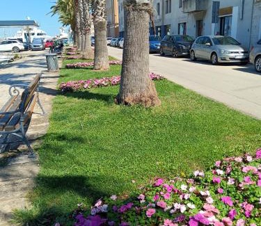 Zadar Boat Rental | Half day trip from Zadar to island Ugljan