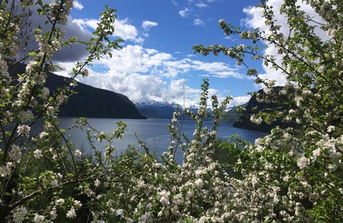 Stryn House | Hammertunet