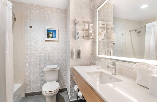 Biggar Hotel | Hampton Inn Fort Myers-Airport & I-75