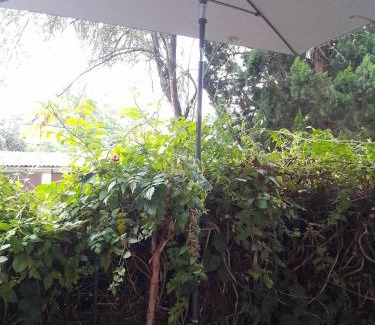 Szeged Apartment | Hangulatos kis lakás a belvároshoz közel