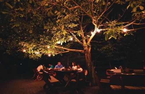 Satu Mare Hotel | Hanu lui Gica Spa