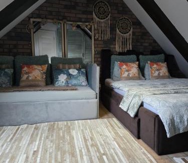 Brasov House | Hanul Anei