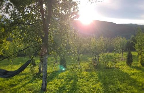 Runcu Apartment | Hanul Doctorului Badeni-Runcu Apartament