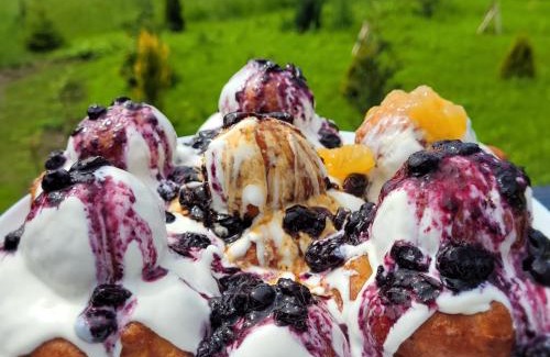 Runcu Apartment | Hanul Doctorului Badeni-Runcu Apartament