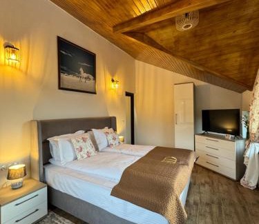 Runcu Apartment | Hanul Doctorului Badeni-Runcu Apartament