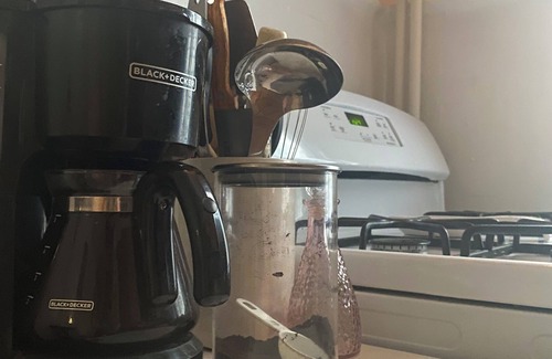 Ditmas Park Apartment | Happy artist Sasha hosting spacious prewar apartment in Flatbush broooklyn!