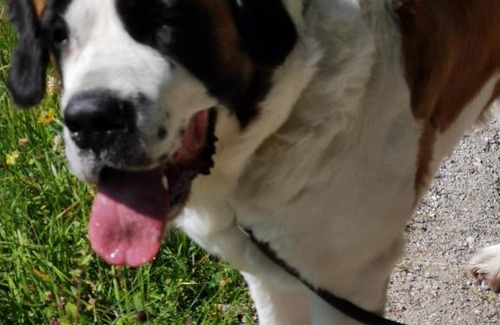 Stolberg Apartment | Harald u Beate