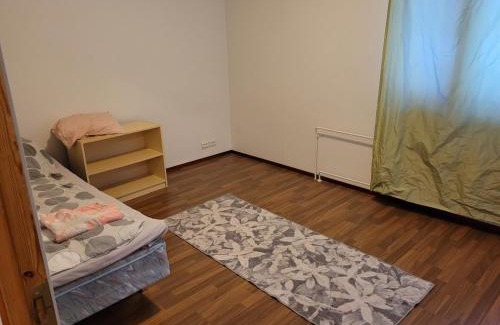 Aanekoski Apartment | Harjukatu