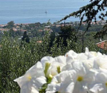 Mytilene Villa | Harmony