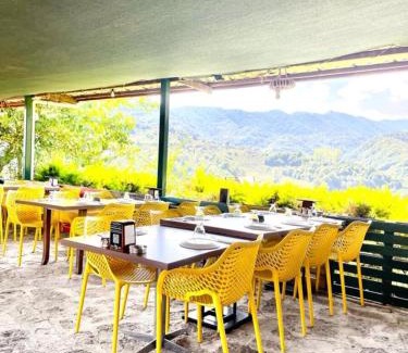 Arakli Hotel | HARUNAĞALAR 105 dağ manzaralı oda