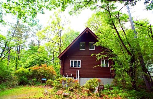 Nasu Villa | HARUNA LODGE Private log house with starry sky from the skylight, fireplace, and spacious deck BBQ