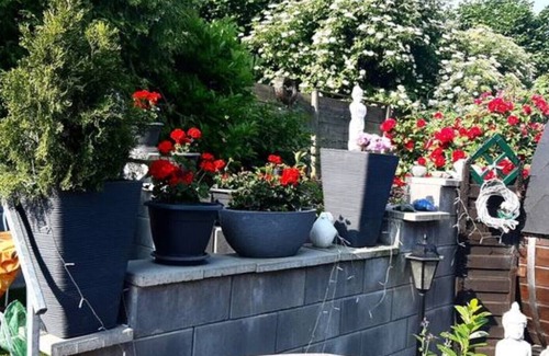 Barbis Apartment | Harzer Bergblick *ALL INCLUSIVE* 120sqm up to 10 pers. - sauna and whirlpool