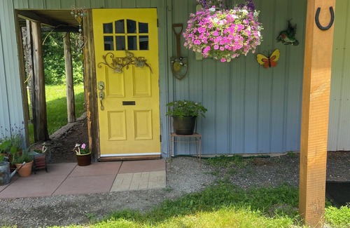 Tudor and Cashel Apartment | Hastings Lodge