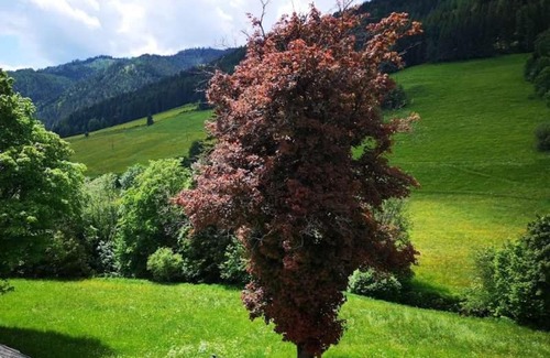 Styria Region Apartment | Haus Elsasser