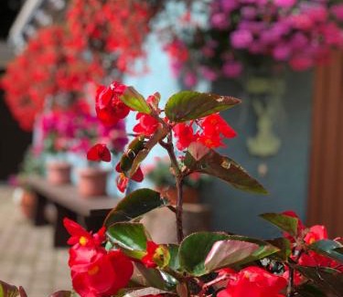 Praebichl Bed & Breakfast | Haus-erzberg