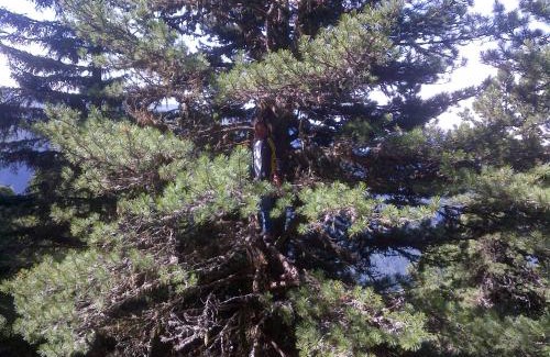 Gerlosberg Apartment | Haus Kröll Elisabeth