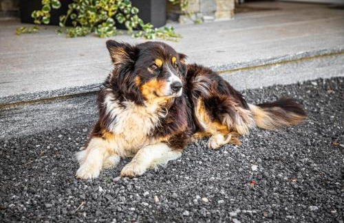 Sankt Johann im Pongau House | Haus Lindbichl