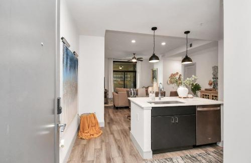 Braeswood Place Apartment | Haus of Blues-NRG Stadium-Med Center-Pool View-Private Parking