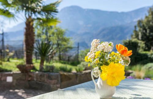 Terlano Apartment | Haus Rosengarten Apt A