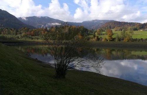 Andelsbuch Apartment | Haus Schneider