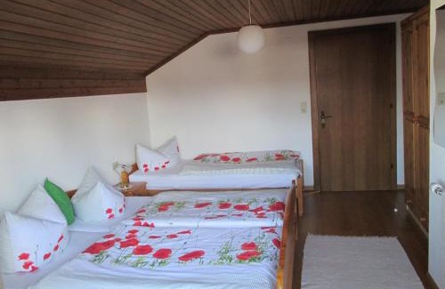 Andelsbuch Apartment | Haus Schneider