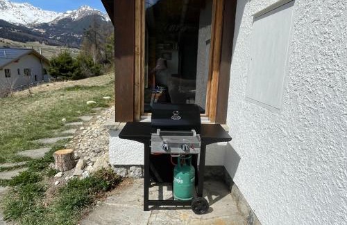 Savognin Ski Chalet | Haus Schwarz