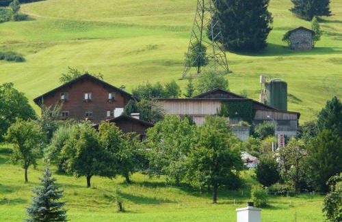 Dalaas Apartment | Haus Simma