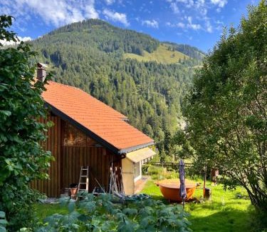 Dornbirn House | Haus Susi