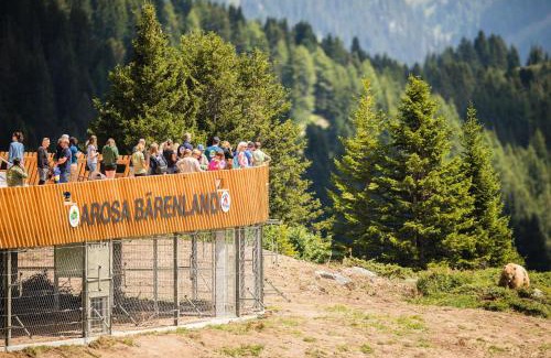 Arosa Apartment | Haus Tannenweg