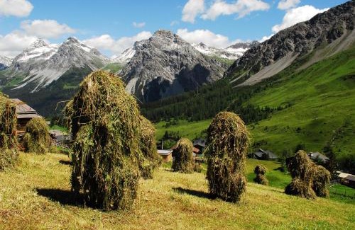 Arosa Apartment | Haus Tannenweg