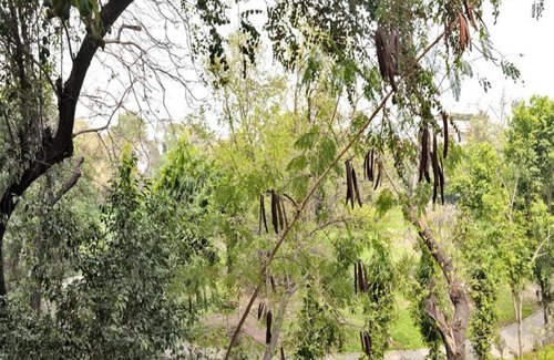 Hauz Khas Bed & Breakfast | Haveli Hauz Khas