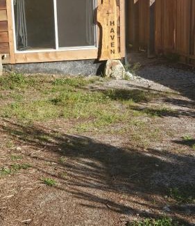 Roberts Creek House | Haven Touchstone