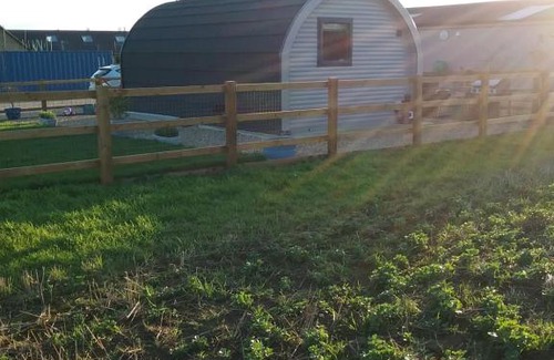 Ely Apartment | Heated Supersize Glamping Pod with ensuite bathroom, Wilburton, Nr Ely, Cambs