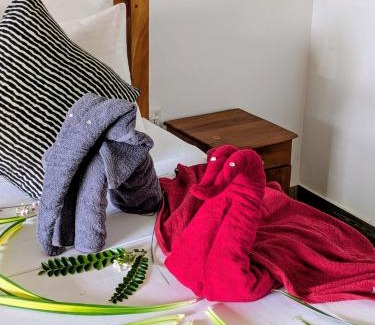 Aluthgama House | Hela Moksha Ayurvedic Villa