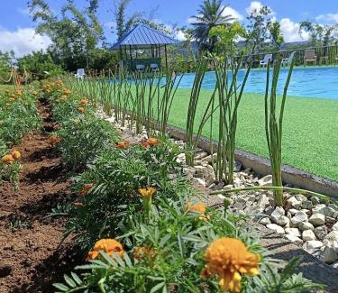 Arakan Cabin | Helens Mountain Resort